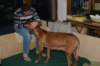 img_7408_small.jpg