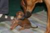 img_7410_small.jpg