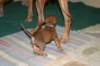 img_7412_small.jpg
