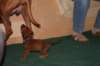 img_7413_small.jpg