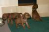 img_7421_small.jpg