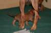 img_7424_small.jpg