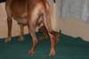 img_7425_small.jpg