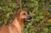 img_6265_small.jpg