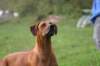 img_6326_small.jpg