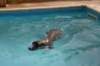 img_9778_small.jpg