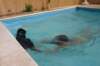 img_9783_small.jpg