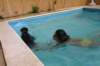 img_9784_small.jpg