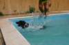 img_9806_small.jpg