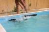 img_9826_small.jpg