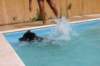 img_9827_small.jpg