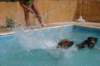 img_9837_small.jpg