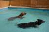 img_9841_small.jpg