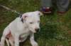 dsc_0005_small.jpg