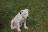 dsc_0006_small.jpg
