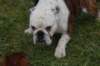 dsc_0009_small.jpg