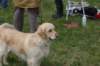 dsc_0010_small.jpg