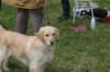 dsc_0011_small.jpg