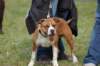 dsc_0012_small.jpg