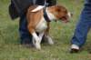 dsc_0013_small.jpg