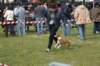 dsc_0016_small.jpg