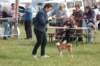 dsc_0023_small.jpg