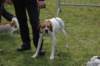 dsc_0024_small.jpg