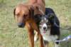 dsc_0025_small.jpg