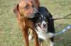 dsc_0026_small.jpg