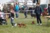 dsc_0031_small.jpg