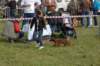dsc_0032_small.jpg