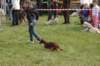dsc_0033_small.jpg