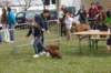 dsc_0035_small.jpg