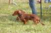 dsc_0036_small.jpg