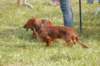 dsc_0037_small.jpg