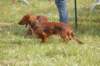 dsc_0038_small.jpg