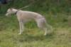 dsc_0039_small.jpg