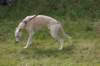 dsc_0040_small.jpg