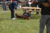 dsc_0041_small.jpg