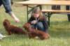 dsc_0043_small.jpg