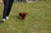 dsc_0044_small.jpg