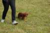 dsc_0045_small.jpg
