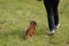 dsc_0046_small.jpg