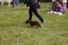 dsc_0047_small.jpg