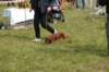 dsc_0048_small.jpg