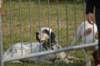 dsc_0049_small.jpg