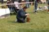 dsc_0050_small.jpg