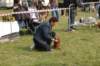 dsc_0052_small.jpg