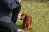 dsc_0055_small.jpg