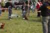 dsc_0058_small.jpg
